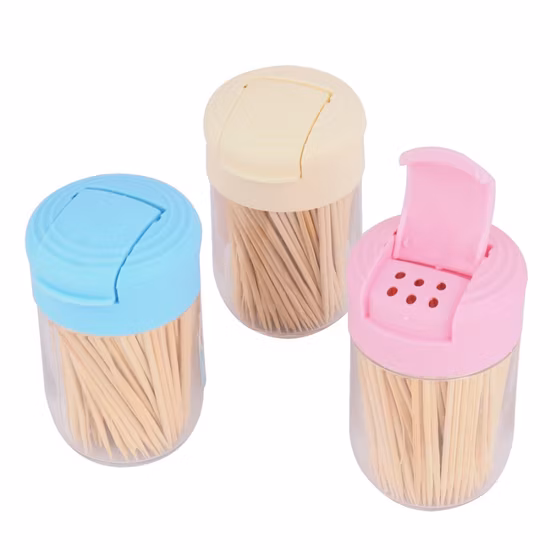 Cure-dents en bambou de bonne qualité, jetables, personnalisés dans un tube en plastique